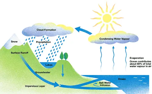 water cycle is part of our life